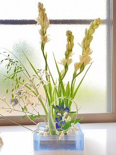 院内のお花のご紹介❁