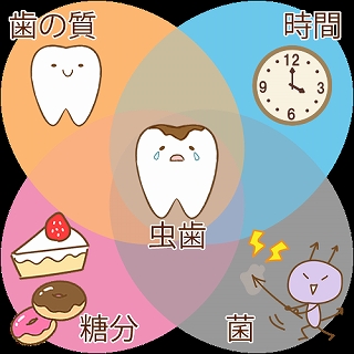 オンラインセミナー