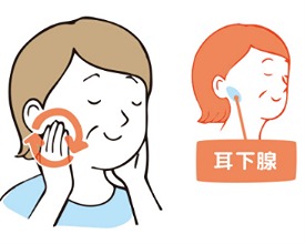 よく嚙んで食べると若返る！？