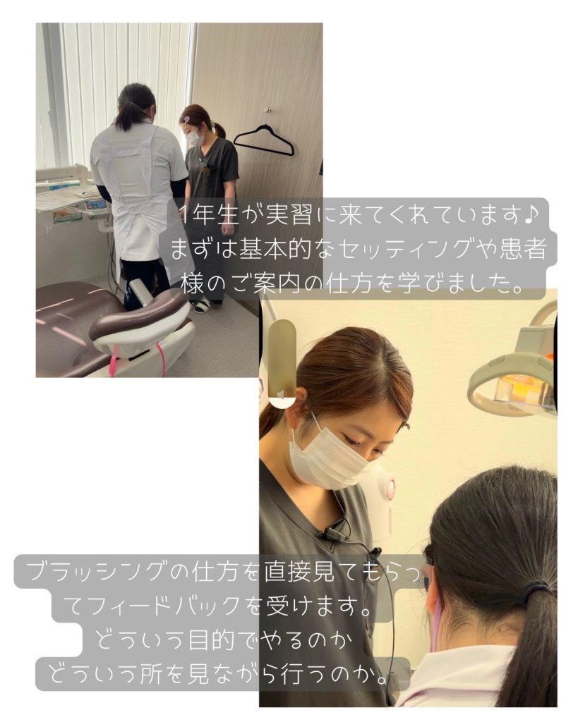 実習生がきてくれました♪