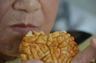 命の入り口・心の出口